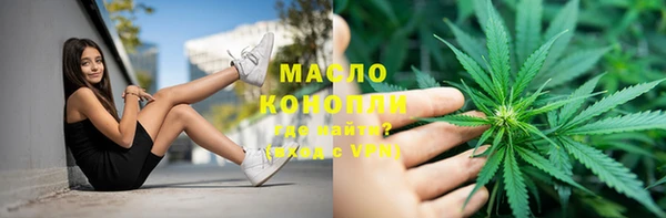 гашик Бородино