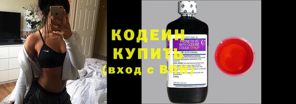 гашик Бородино