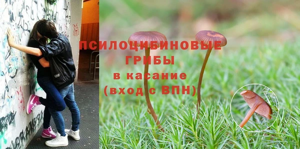гашик Бородино