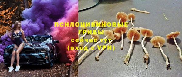 гашик Бородино