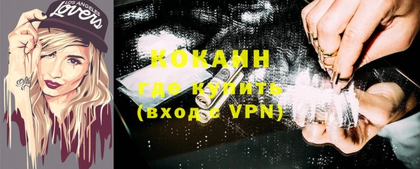 гашик Бородино