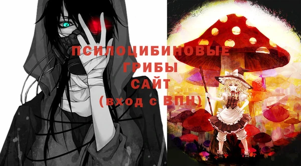 прущие крисы Бронницы