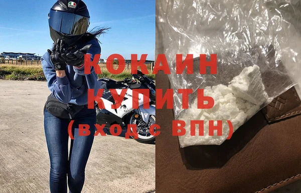 гашик Бородино