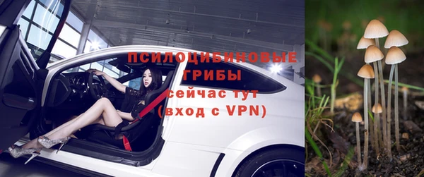 прущие крисы Бугульма