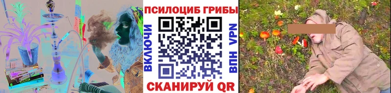 omg маркетплейс  Хабаровск  Галлюциногенные грибы MAGIC MUSHROOMS 
